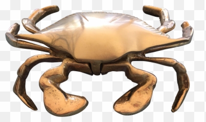 Transparent Crab Nautical - Dungeness Crab Png,Crab Transparent
