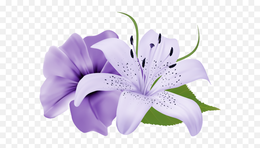 Purple Deco Flowers Png Clipart 179 0 - Purple Lavender Flowers Png,Lily Flower Png