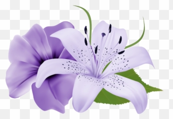 Purple Deco Flowers Png Clipart 179 0 - Lavender