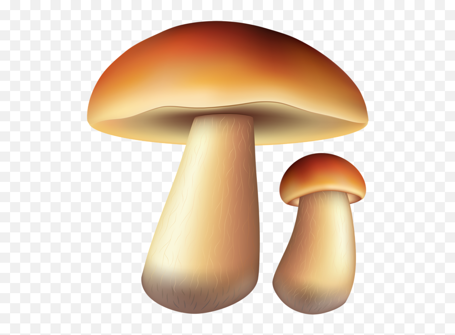 Mushrooms Free Png Clip Art Image In 2020 - Champignon D Automne Clip Art,Mushrooms Png