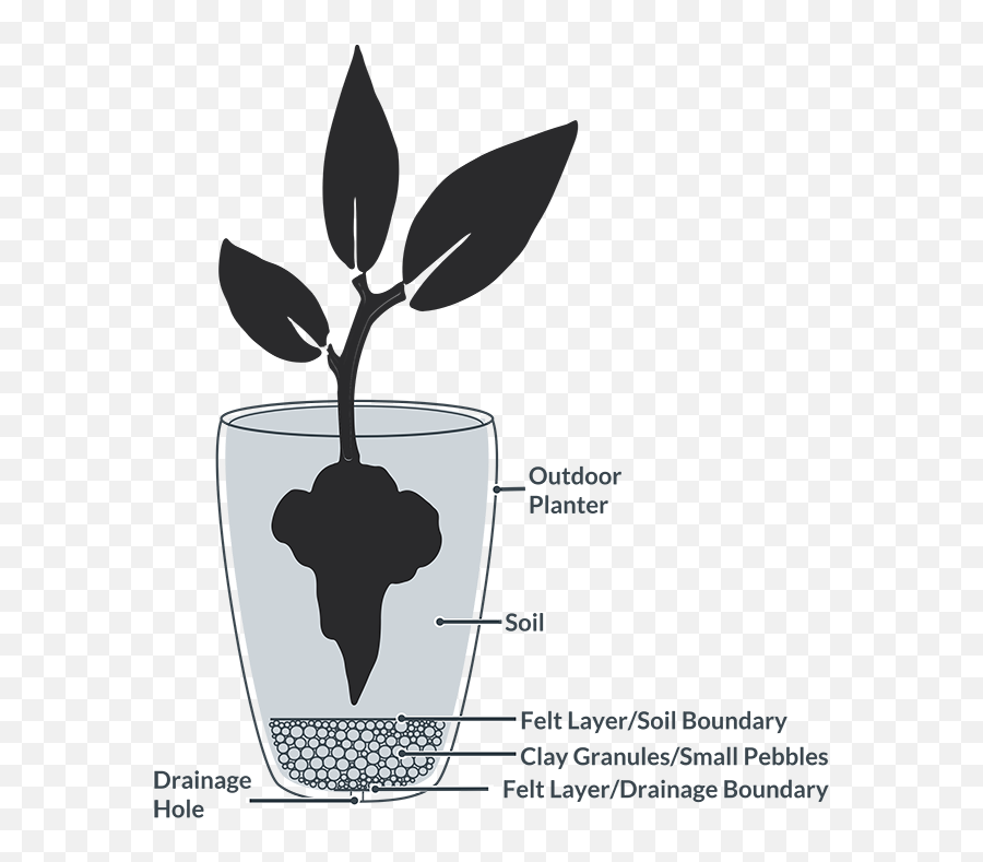 The Complete Guide To Planting Houseplants In Pots - Planter With Drainage Holes Png,Planting Png