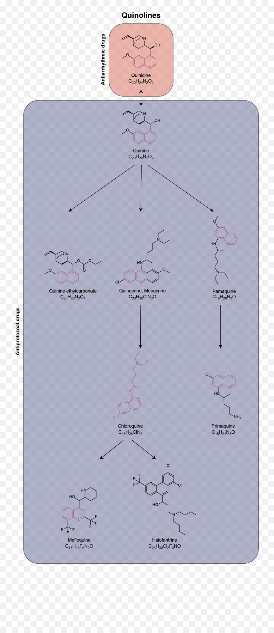 Medical Quinolines Pathway - Diagram Png,Pathway Png