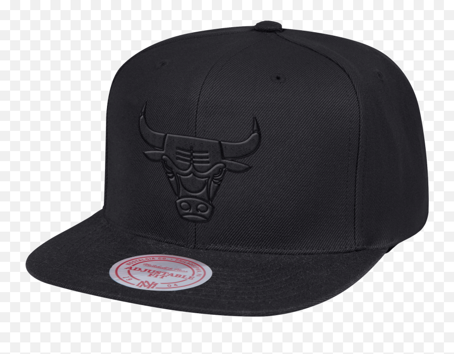 Black - Baseball Cap Png,Black Bulls Logo