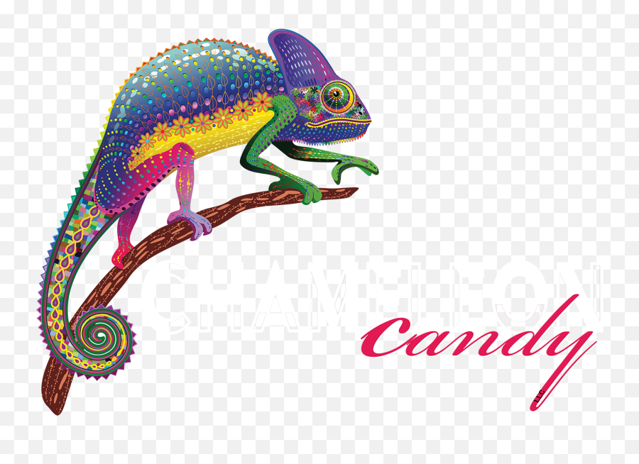 Picture - Chameleon Candy Png,Chameleon Png