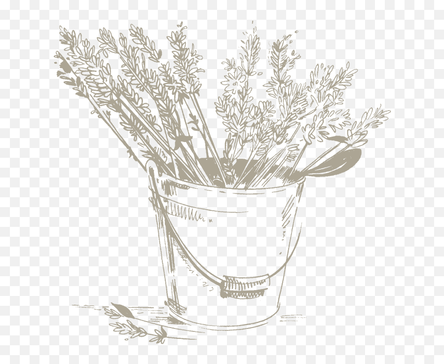 Download Hd Lavender Water Is Used In Cosmetics For Its - Bouquet Png,Lily Of The Valley Png