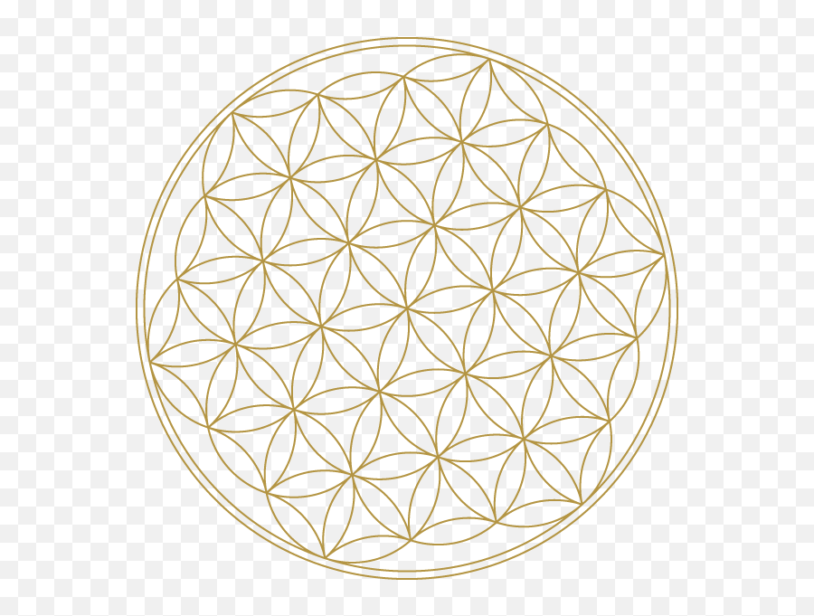 Flower Of Life - High Resolution Sacred Geometry Flower Of Gold Flower Of Life Transparent Png,Sacred Geometry Png