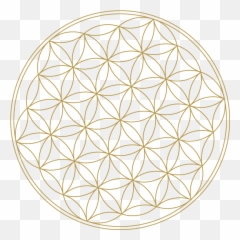 Flower Of Life - High Resolution Sacred Geometry Gold Transparent png