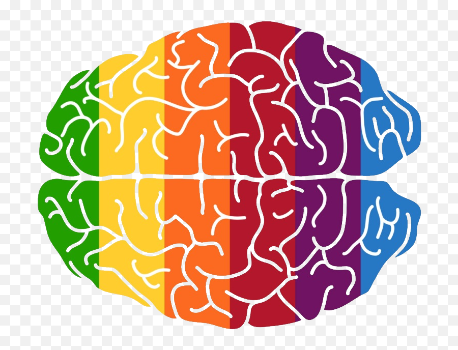 Brain Png Pic Background Play - Brain,Brain Png