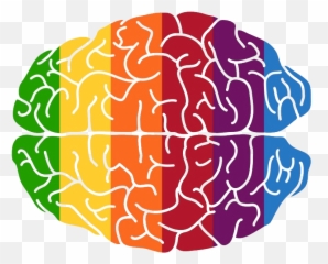 Brain Png Pic Background Play