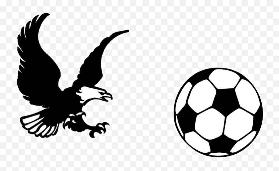Bald Eagle Logos - Basic Soccer Ball Png,Eagle Logos Images