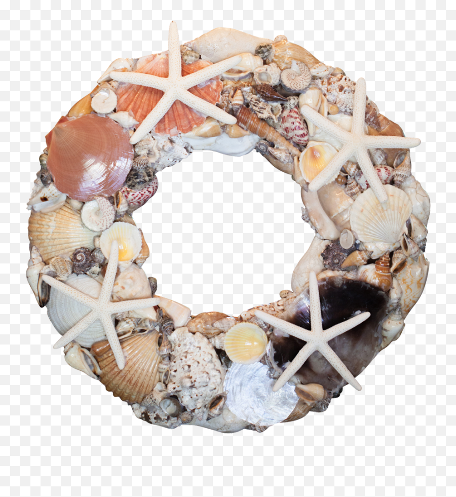 Shell Wreath Starfish And Seashells - Wreath Png,Seashells Png