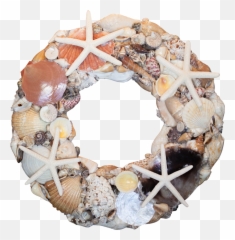 Shell Wreath Starfish And Seashells - Wreath Png,Seashells Png