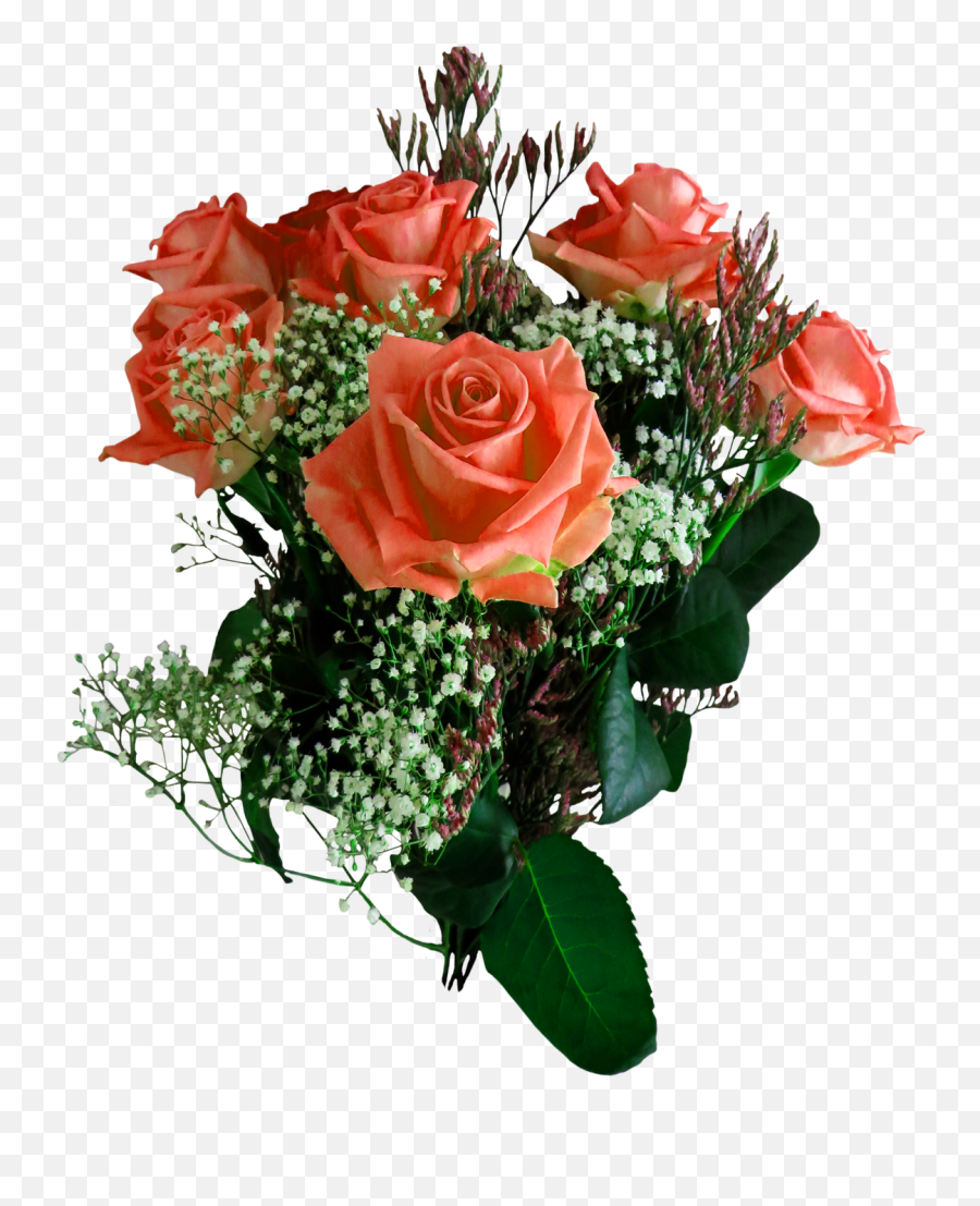 Download Rose Flower Png Image For Free - Png For Picsart Rose,Garden Flowers Png