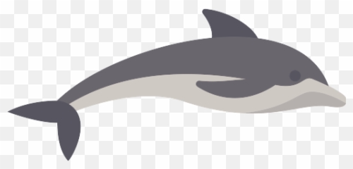 Dolphin Png Icon 24 - Repo Free Icons