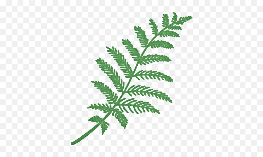 Retro Picnic Green Fern Graphic By Jessica Dunn Pixel - Fern Png,Ferns Png