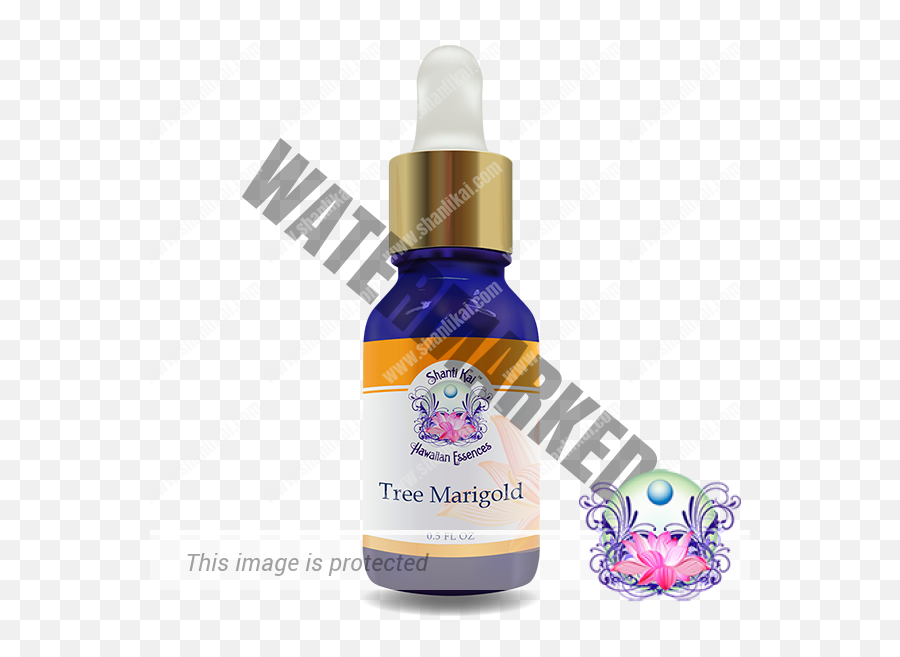 Tree Marigold Hawaii - Plants Png,Marigold Transparent