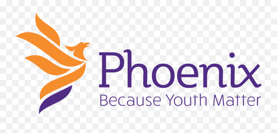Phoenix Youth Programs Case Study Bitsco - Phoenix Youth Programs Png,Phoenix Transparent Background