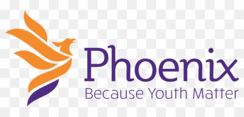 Phoenix Youth Programs Case Study Bitsco - png
