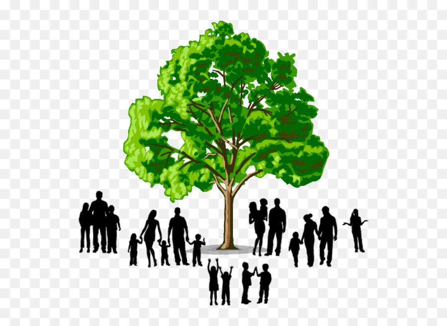 Png Family Tree Transparent Images - Family Tree Logo Hd,Family Tree Png