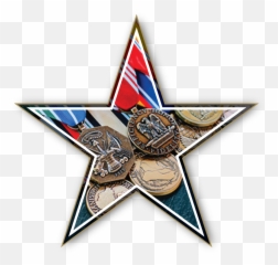 Vfw Png Auxiliary Logo