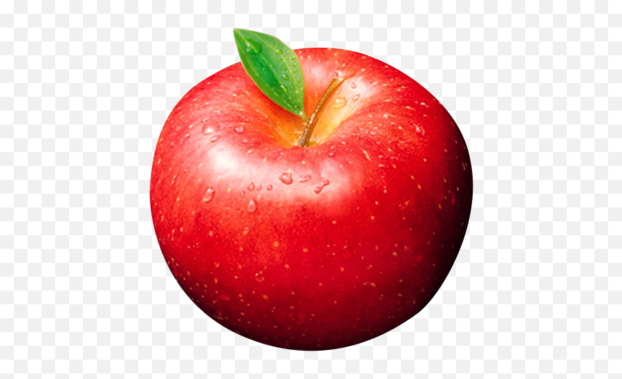 Mcintosh Apple Pie Fruit - Fresh Apples Png Download 678 Mcintosh Apple Png,Apples Transparent Background