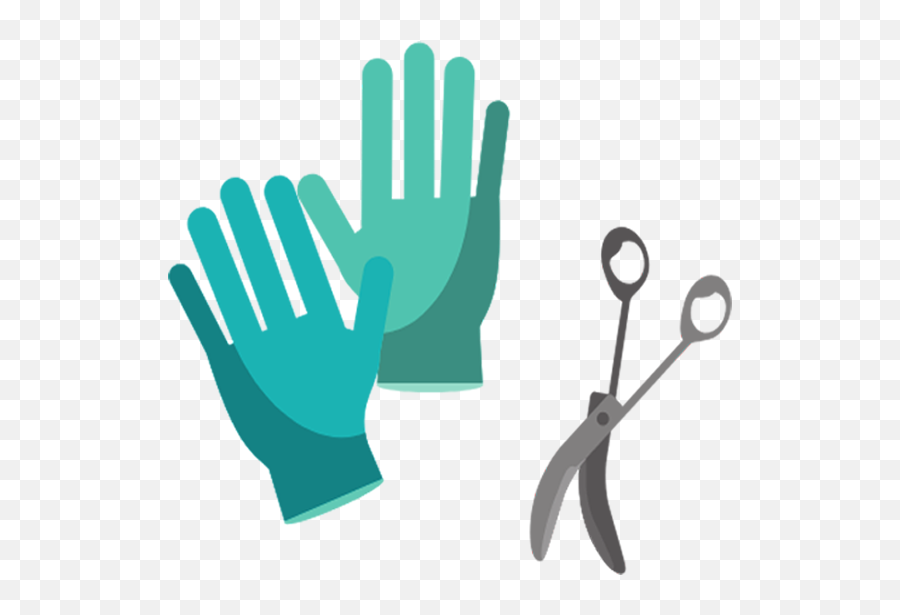 Physician Assistant Surgical Residency - Safety Glove Png,Johns Hopkins Icon
