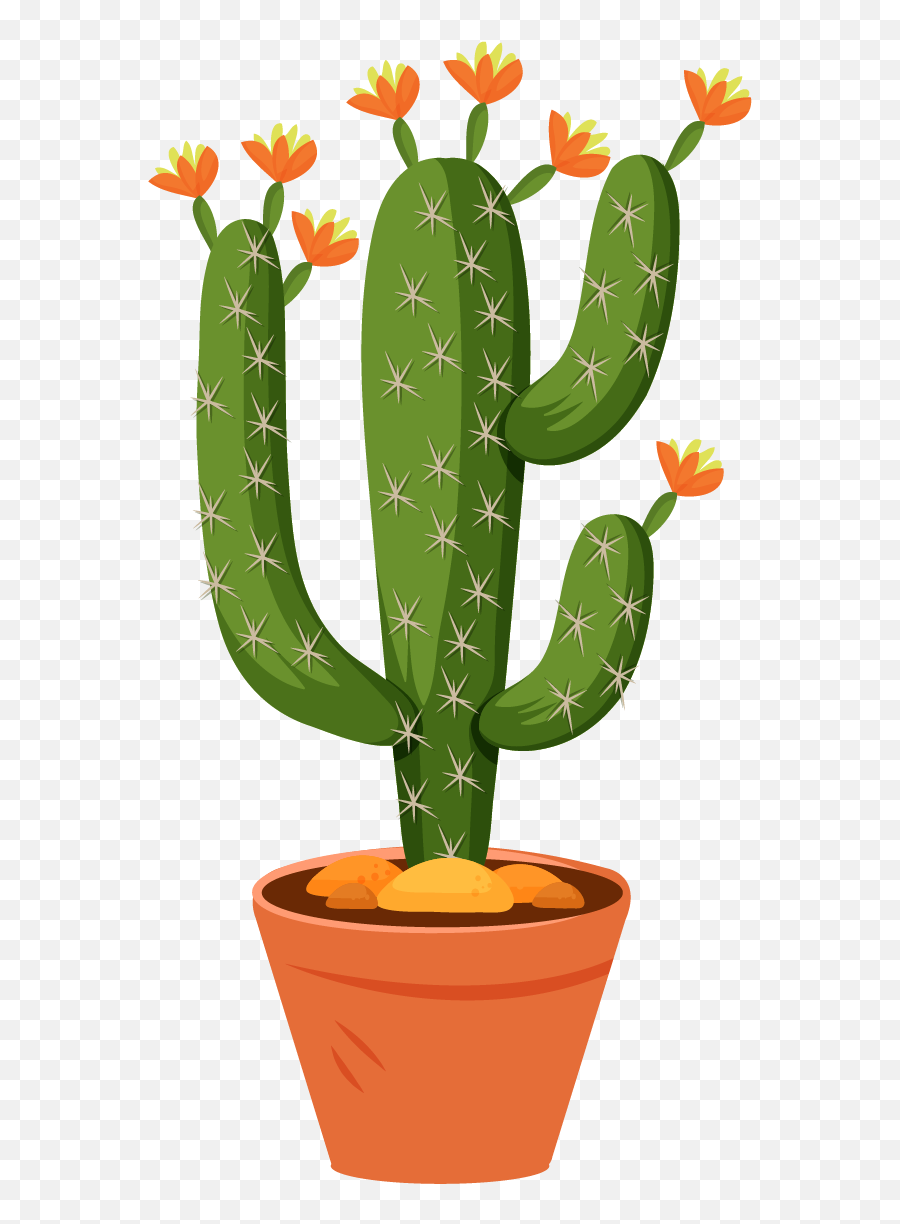 Free Png Cactus - Cactus,Cacti Png