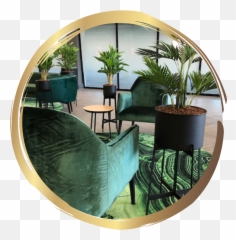 Leafy Solutions U2022 Bespoke Faux And Live Plants Png