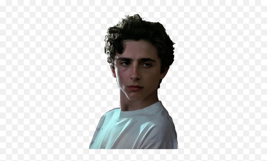 The Most Edited Timothee Picsart - Timothée Chalamet Stickers Whatsapp Png,Emma Watson Icon Tumblr