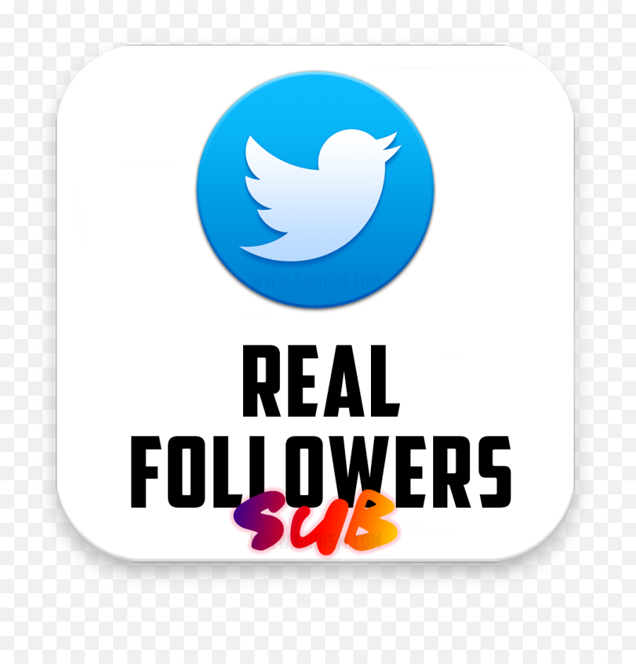 Real Twitter Followers Subscription Groism - Twitter Png,Blue Tiktok Icon