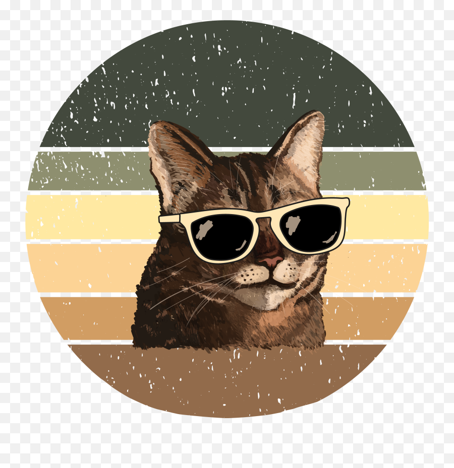 Catsoundfunny Ucatsoundfunny - Reddit Silueta Patada Taekwondo Mujer Png,Cat Profile Icon