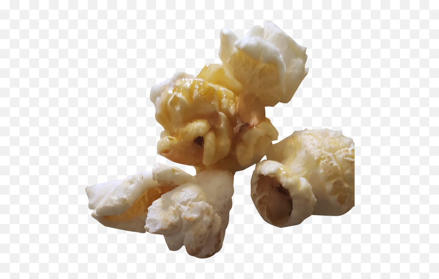 Shop All U2013 Still Poppin Gourmet Popcorn - Fungus Png,Popcorn Kernel Icon