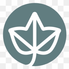 Ivy Medical Png