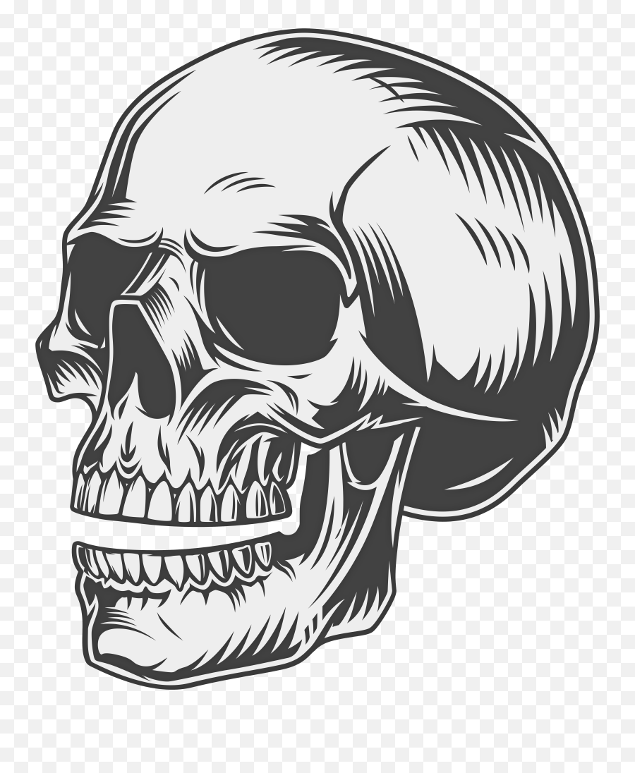 Skull Clipart Png Drawing