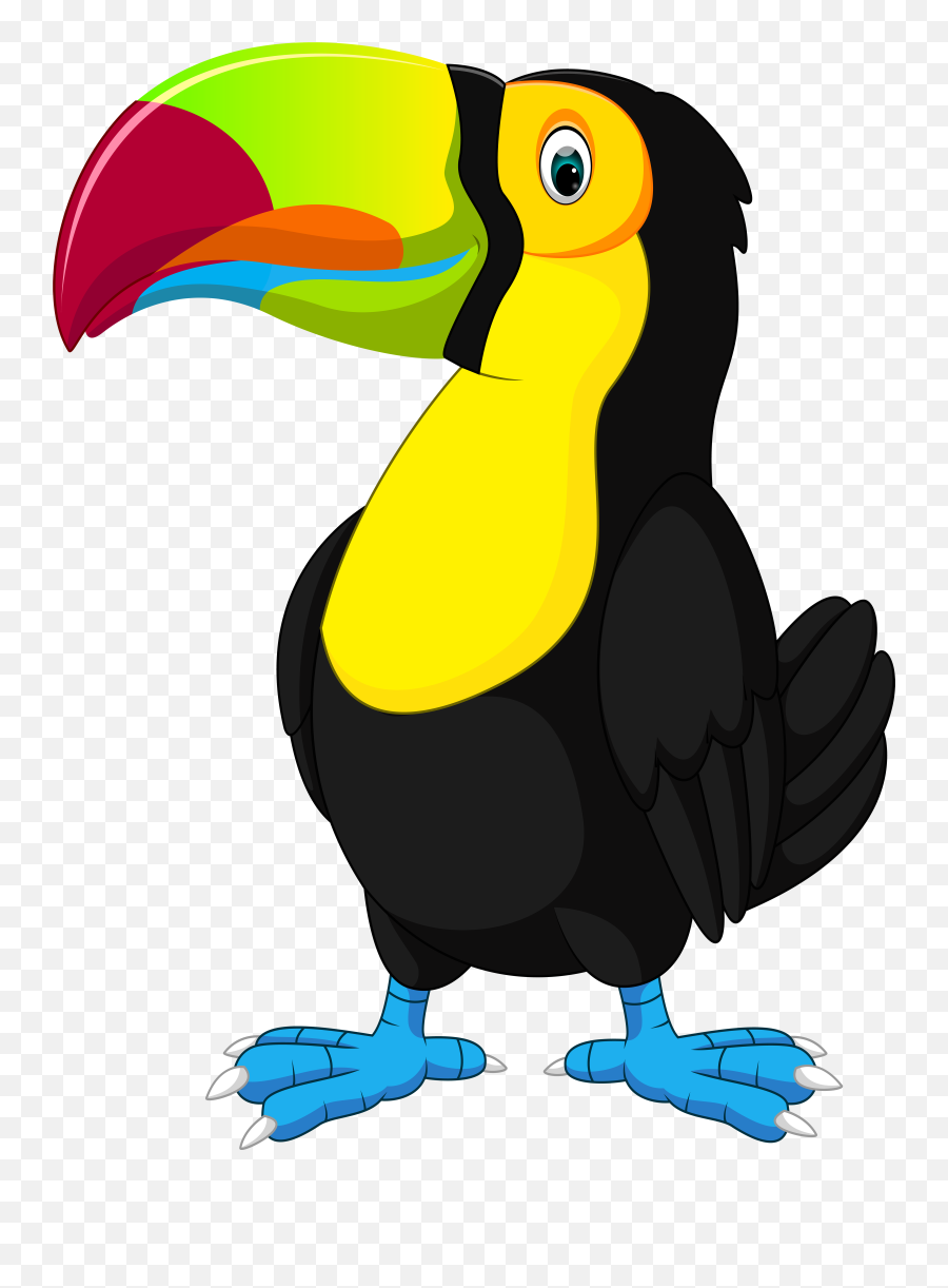 Toucan Clipart Picture Png Tucan