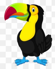 Toucan Clipart Picture Png Tucan