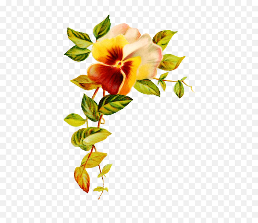 Hibiscus Border Png - Clip Freeuse Download Flowers At Printable Greeting Card Template,Flower Border Transparent Background