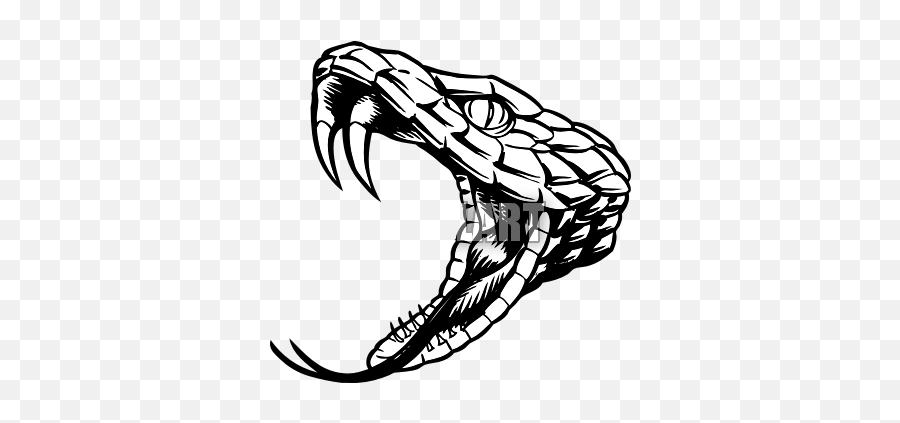 Open Mouth Snake Drawing Png Snoke