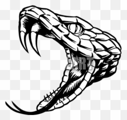 Open Mouth Snake Drawing Png Snoke