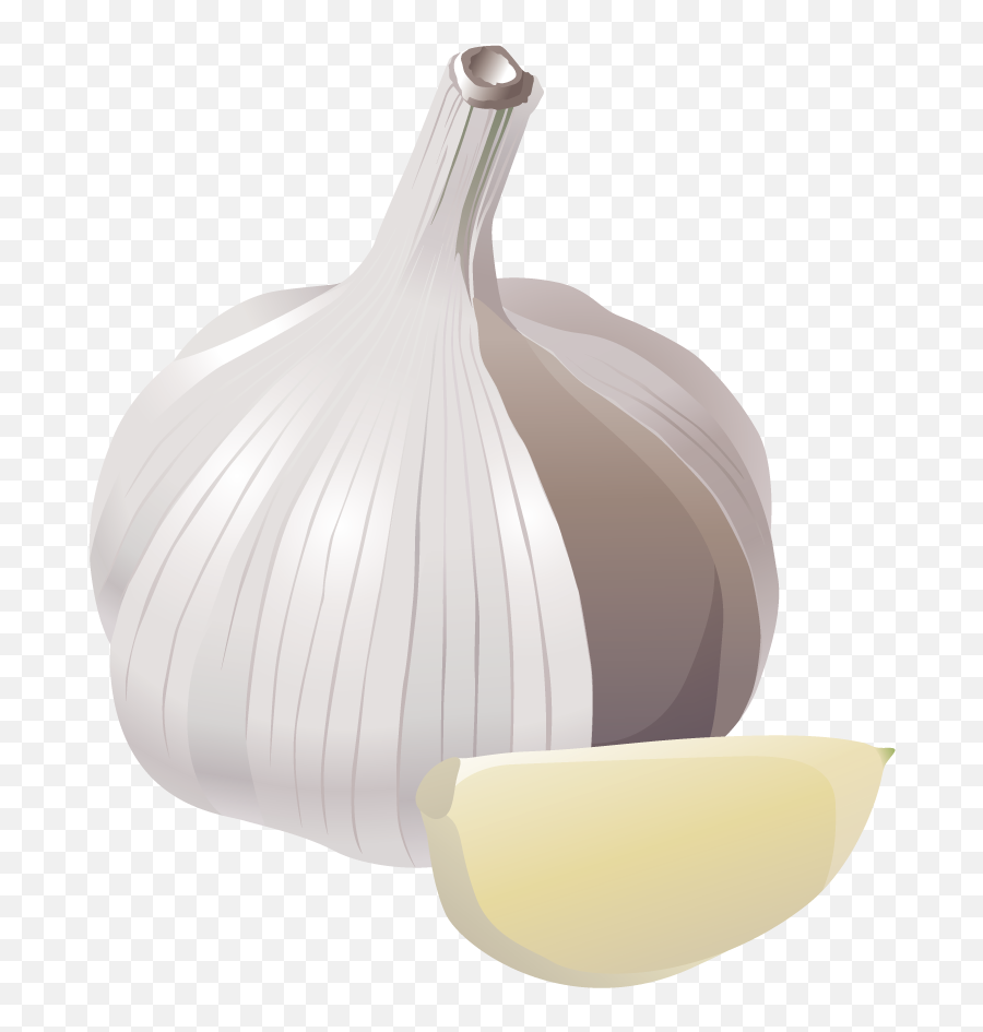 Garlic Veggie Burger Clip Art - Clipart Images Of Garlic Png,Garlic Transparent Background