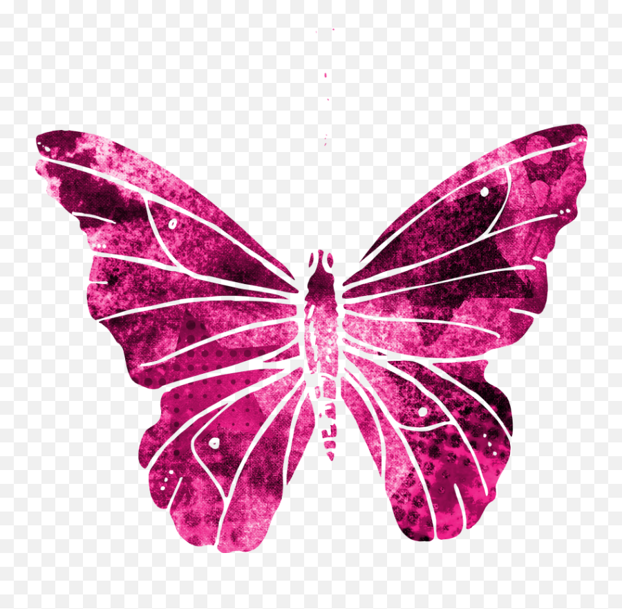 Tags - Butterfly Full Size Png Download Seekpng Clip Art,Butterfly Transparent Background