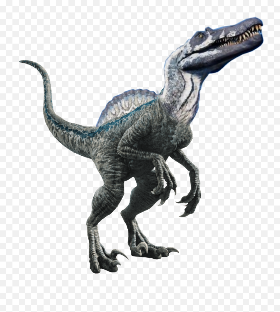Download - Jurassic World Blue Png,Spinosaurus Png