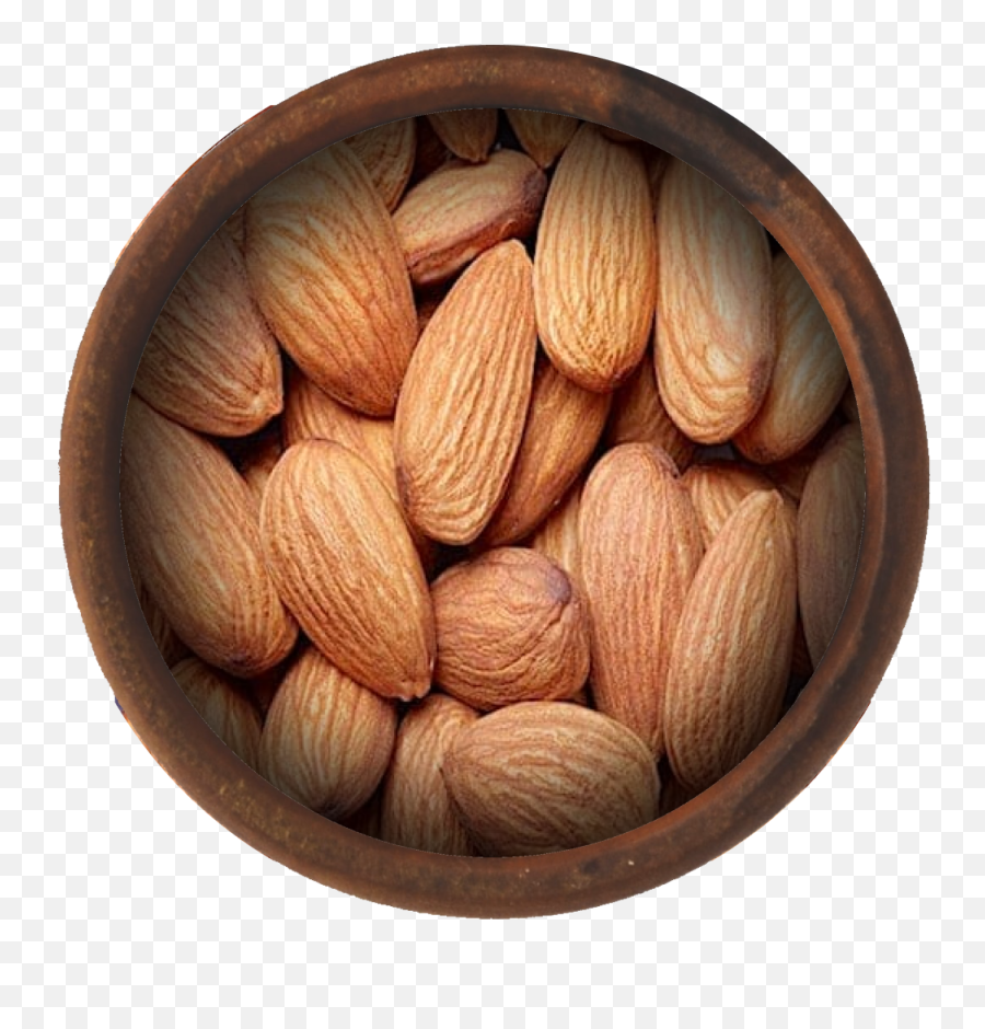 Bulk Raw Almonds - Almond Png,Almond Png