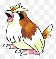 Official Artwork Set For - Pidgey Pokemon Red And Blue Png,Pidgey Png