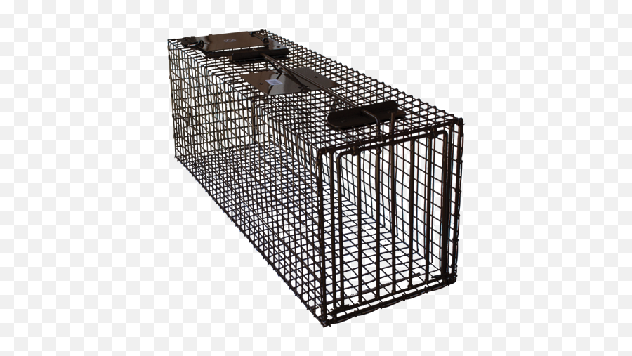 Ztrap Dp Traps Raccoon Trapping - Vertical Png,Trap Png