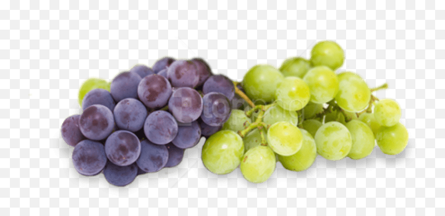 Free Png Transparent Grapes - Grapes Transparent,Grapes Transparent
