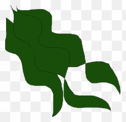 Kelp Of Dispointment - Horizontal Png,Kelp Png