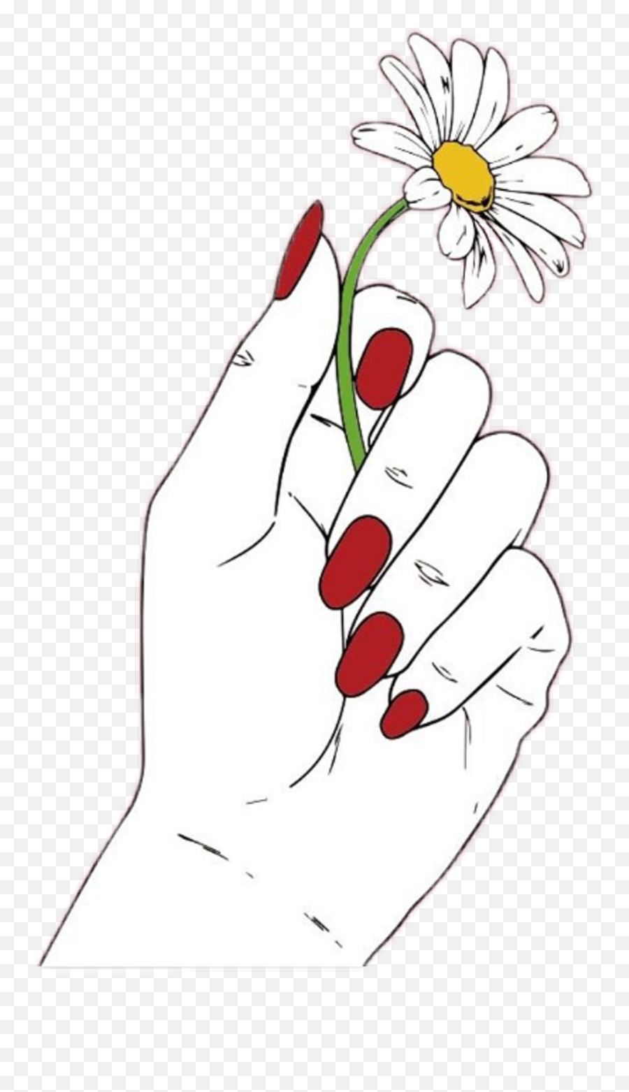 Drawing Of Hands Holding Flowers Png - Drawing Of Hands Holding A Flower,Transparent Flower Drawing Tumblr