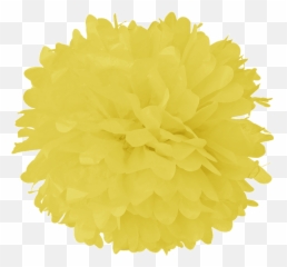 Light Yellow Tissue Pom Poms - Tissue Pom Poms Transparent Png,Pom Poms Png