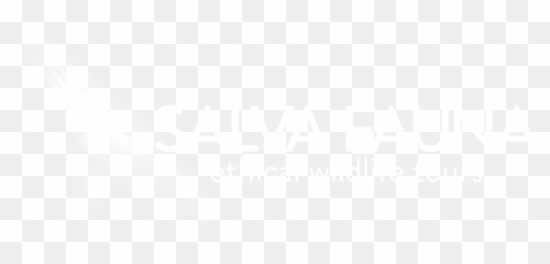 Sunset - Fast Company Logo White Png,Motionless In White Logo